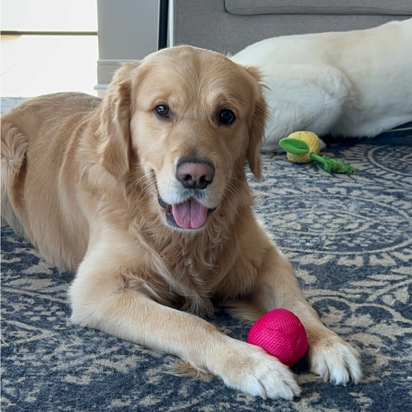 Meet your Poshmark Ambassador, Nicole - Picture 7 of 8